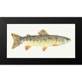 thumbnail image 2 of Prahl, Courtney 24x14 Black Modern Framed Museum Art Print Titled - Angling in the Stream III, 2 of 5