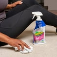 OdoBan Pet Oxy Stain Remover Spray Bottle, No Rinse Neutral pH Hard