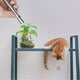 thumbnail image 5 of Cat Pointer Interactive Cat Toys 7 in 1 Multi-pattern Funny Cat Plays LED Flashlight with USB Rechargeable, 5 of 5