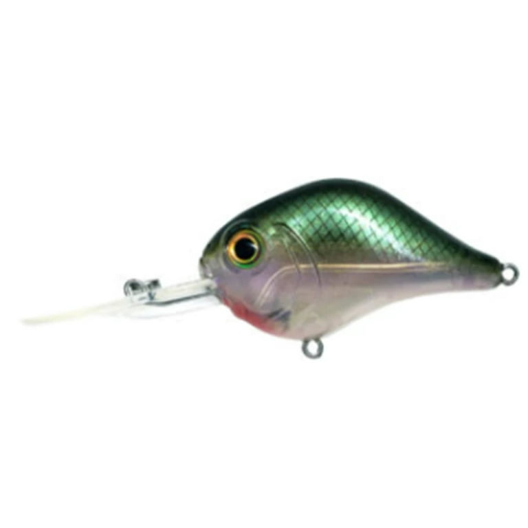 Bill 12MR600 Lewis 2.5 3/4 Oz 12' Blue Chartreuse Fishing Lure