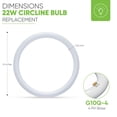 thumbnail image 6 of NYLL 8 inch T9 Circline Type A Plug & Play LED Lamp, Daylight (5000K) Direct Replacement for 22W FC8T9/D (Without Rewiring or Modification) Ballast Required!, 6 of 7