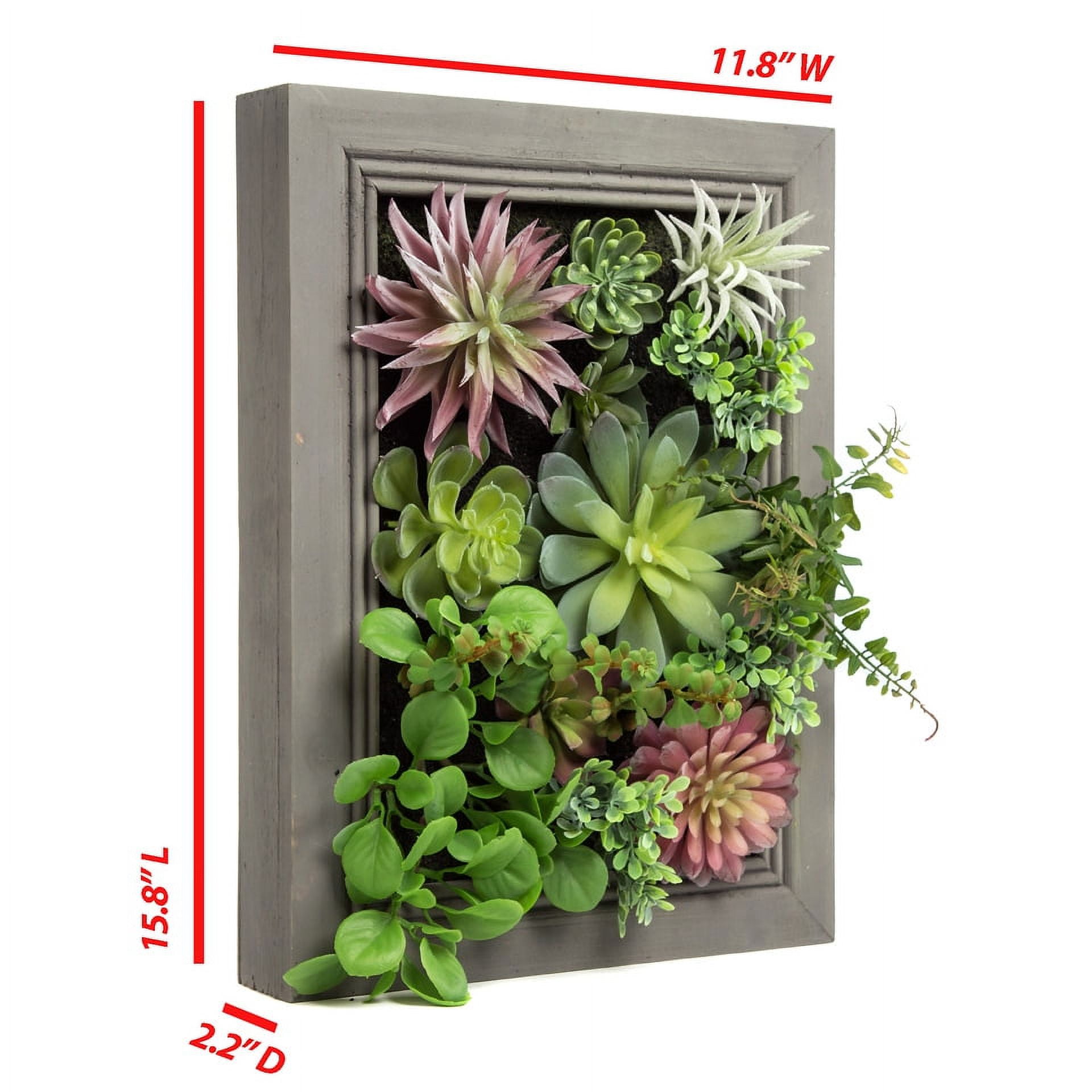 K-cliffs 3D Hanging Wall Art w/Succulent Plants, in a Rectangle Wooden Frame Dimensions: 11.8 W x 2.2 D x 15.8 H (in inches), Home Decor, Size: Medium