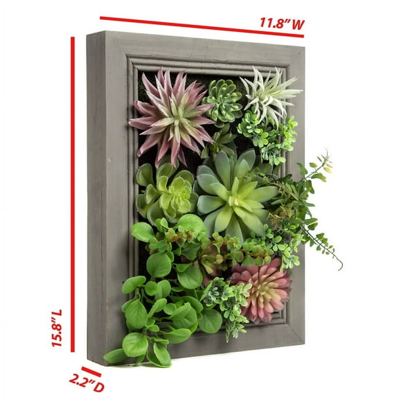 K-Cliffs DYI Wall Décor 3D Artificial Succulent Plants with Rectangle Gray Wooden Frame. Dimensions: 11.8 W x 2.2 D x 15.8 H (in inches)