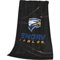 thumbnail image 3 of Emory University Blanket Large Luxury Fleece Soft Anti-Static Anti-Pilling Flannel Bed Blanket, 3 of 6