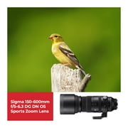 Sigma 150-600mm f/5-6.3 DG DN OS Sports Zoom Lens for Sony E Bundle