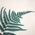 thumbnail image 2 of Atelier B Art Studio 20x20 Gold Ornate Wood Framed with Double Matting Museum Art Print Titled - FERN, 2 of 4