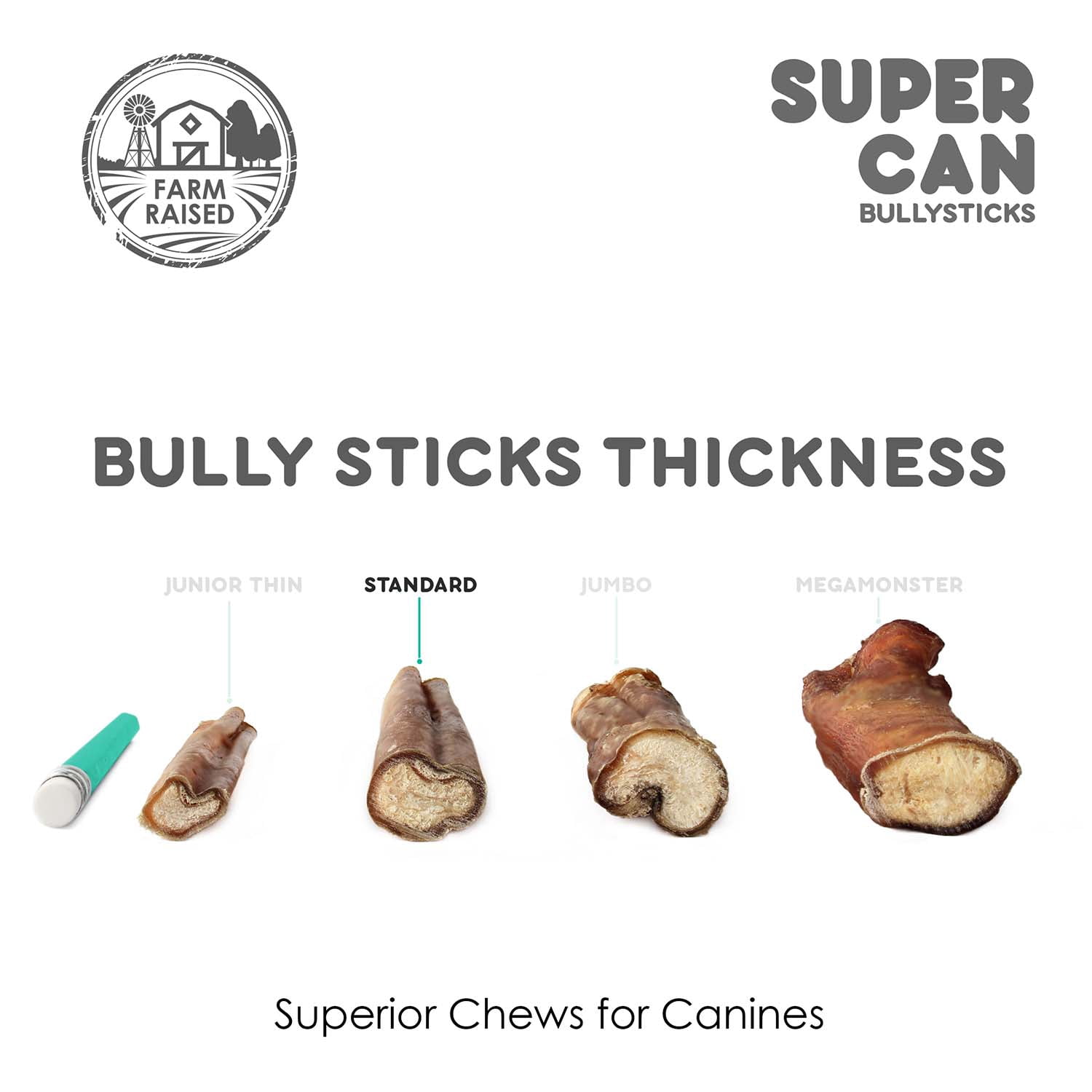 SuperCan BullySticks BLL-12-ST-8 12 in. Standard - 8 Piece