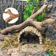 thumbnail image 5 of Snake Climbing Branch, 2Pcs Reptile Wood Natural Cork Log Tank Accessories Tree Trunk for Chameleon Bearded Dragon Gecko Snake Frog Spider, 5 of 8