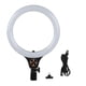 thumbnail image 1 of Anillo de luz de 26 cm de diámetro, sincronización de alto brillo, LED, lámpara de anillo para selfies ajustable para cámara doméstica, 1 of 8