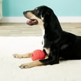 thumbnail image 6 of Jolly Pets Jolly Tuff Tosser Unique Rubber Durable Interactive Dog Toy 4 inch, 6 of 7