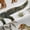 Brown Green, variant on Castle Fairy Cute Dino Black Out Curtains,Dinosaur Curtains Pack of 2 (42x63 Each)