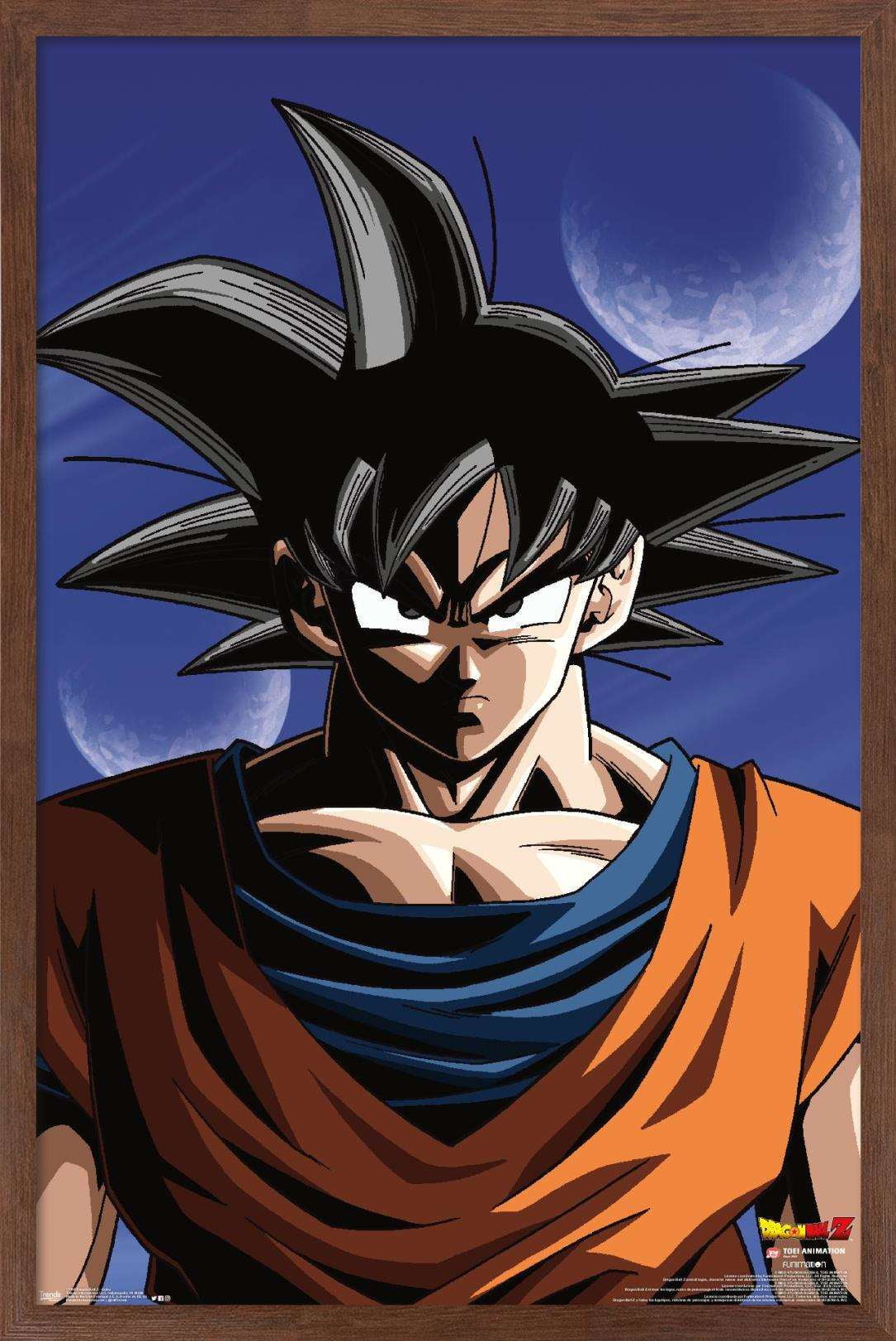 Dragon Ball Z - Goku Poster - Walmart.com - Walmart.com