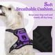 thumbnail image 2 of Arnés para perros Rabbitgoo, sin tirones, ajustable, morado, para perros XS, 2 of 8