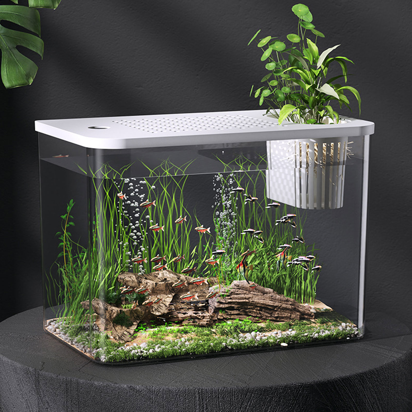YAHHU Small Plastic Clear Micro Landscape Desktop Aquarium Fish Tank for Goldfish Betta Turtle, White, 12.4x7.1x8.9 inches / 31.6x18x22.5 cm
