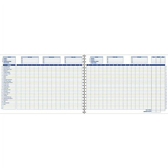 Adams Home Office Budget Book, Weekly/Monthly Format, 10 x 7 Inches, White (AFR31),ABFAFR31