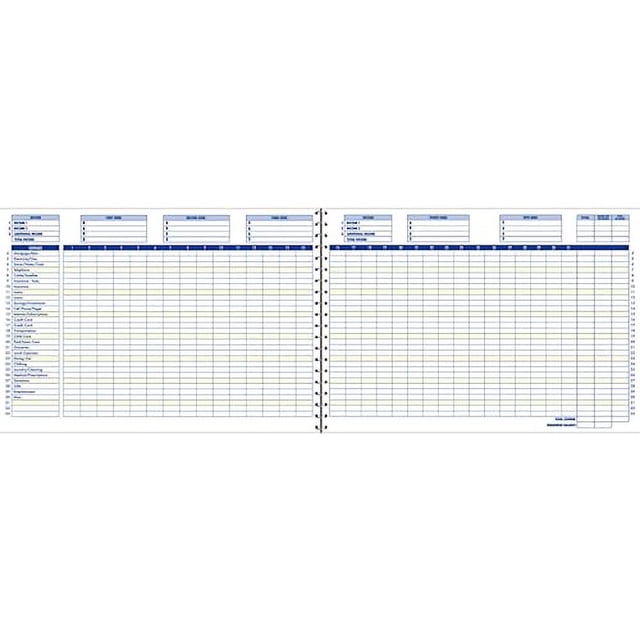 Adams Home Office Budget Book, Weekly/Monthly Format, 10 x 7 Inches, White (AFR31),ABFAFR31