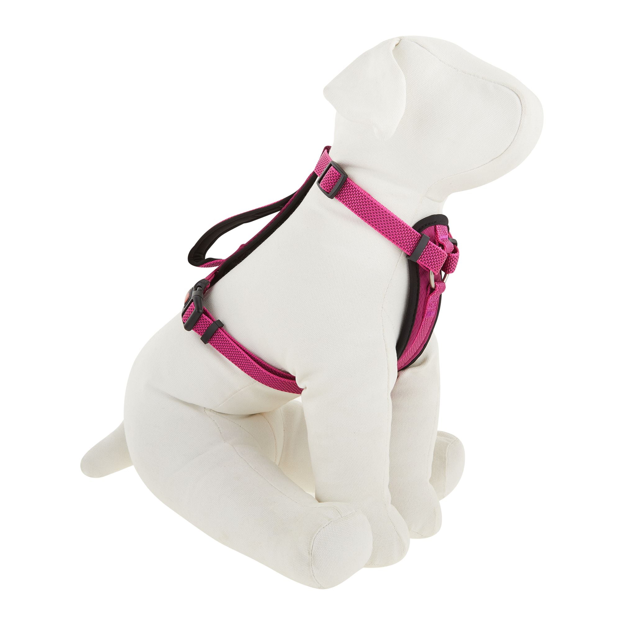 Kong waste bag harness chewy online