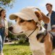thumbnail image 5 of Dog Hat Corduroy Pet Cap Adjustable Baseball Hat For Small Dogs Cats Summer Sun Protection Pet Cute Puppy Accessory Breathable Cap L, 5 of 7