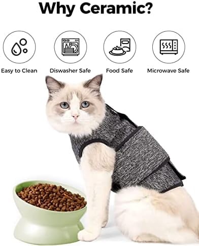 Elevated Cat Food Bowl, 5 Oz Ceramic Raised and Tilted Water Bowl, Anti Vomiting and Protect Pets' Spines Dishes for Small Dog, Fat Faced Cat, Kitten (Green, 1 Pack)