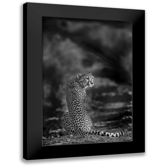 Marx, Jaco 11x14 Black Modern Framed Museum Art Print Titled - The look back