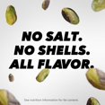 thumbnail image 4 of No Shells, Lightly Salted Nuts, 12 Ounce Resealable Bag, Protein Snacks, Gluten Free, Healthy Snack, 4 of 5
