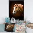 thumbnail image 3 of Designart 'Brown Horse With White Nose Portrait' Farmhouse Framed Art Print, 3 of 4