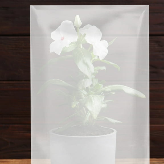 EXHUMKY 3Pcs Plant Protective Bag for Farmers PE Transparent 80X60X0.1CM