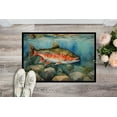 thumbnail image 2 of Carolines Treasures DAC2774JMAT 0.15 x 24 x 36 in. Brook Trout Doormat, 2 of 5