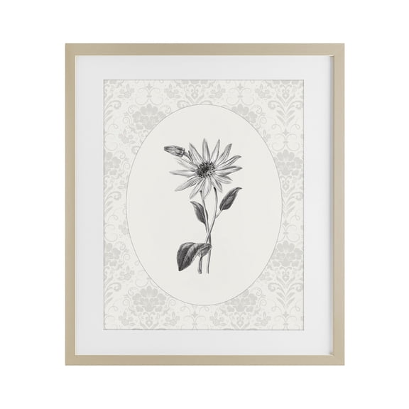 Stupell Industries French Country Antique Botanical & Lace Birch Framed Print Under Glass, 13 x 16, by CAD Designs