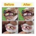 thumbnail image 3 of Dog Plaque And Tartar Remover, Ultrasonic Teeth Cleaner For And Cats, Ultrasonic Dental Kit, Dental Cleaner, 3 of 5