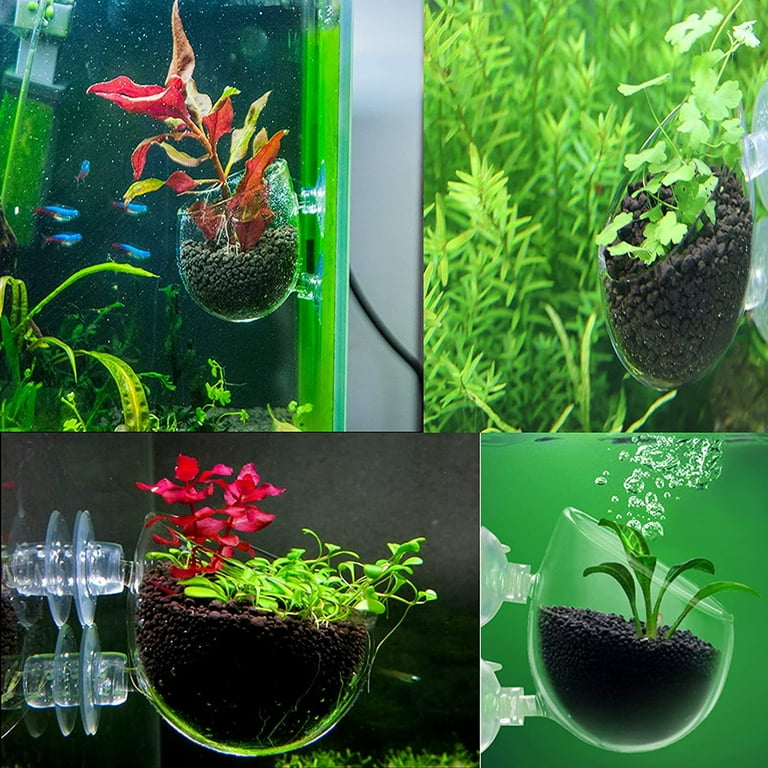 Suction cup aquarium decorations new arrivals