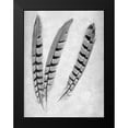 thumbnail image 2 of Blaustein, Alan 19x24 Black Modern Framed Museum Art Print Titled - Feathers B-W - 1, 2 of 5