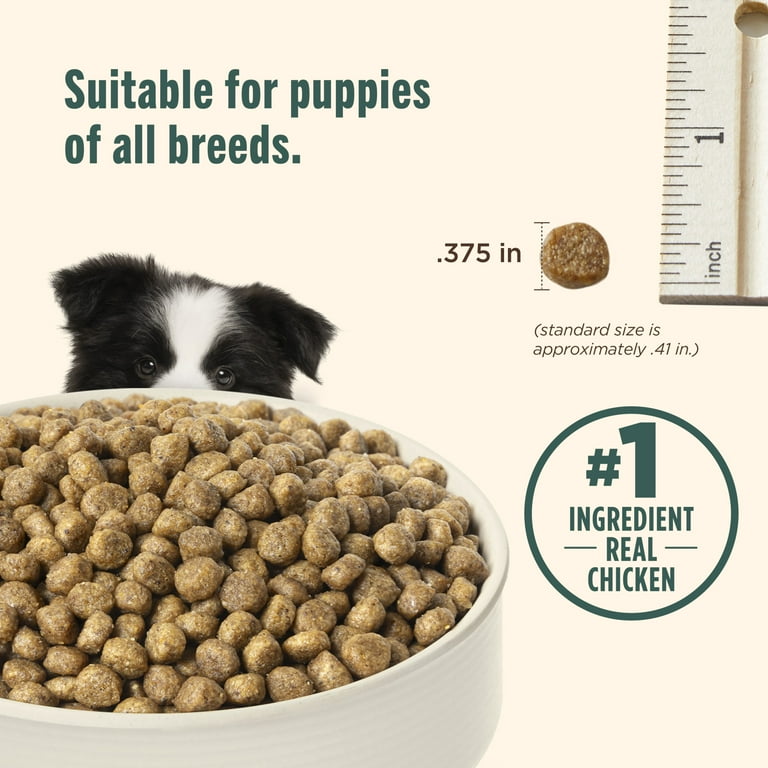 Rachael Ray Nutrish Bright Puppy Dry Dog Food, Real Chicken