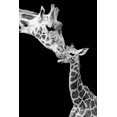 thumbnail image 2 of Incado 13x18 Black Ornate Wood Framed with Double Matting Museum Art Print Titled - First Love - Giraffe, 2 of 4