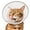 Pink, variant on Cat Cone Collar Soft: Comfortable Waterproof Mesh Recovery Cone After Surgery to Stop Licking and Scratch, Alternative to Plastic Elizabeth Head/Neck Cone