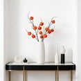thumbnail image 6 of HuiXinOu Artificial Persimmon And Pomegranate Fruit Branches Garden-Style Decorative Branches For Living Room Window Displays Weddings And Shooting Props, 6 of 7