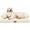 Beige White Stripe, variant on Large Dog Bed Orthopedic Washable - Couch Sofa - XL Large Big Dogs - Beds Bolster Pet - Memory Foam - Waterproof with Removable Cover - Ginger Yellow Dog Bed