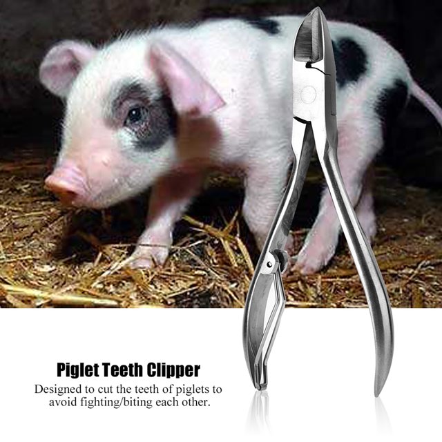 Cortadora de dientes de cerdo cortador de lechones de acero inoxidable diente ANGGREK Otros