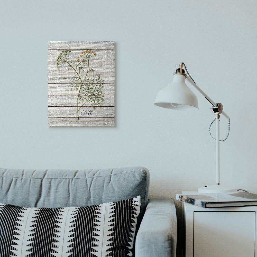Stupell Industries Dill Vintage Herb Kitchen Dining Room Word Collage Design Super Canvas Wall Art by Kimberly Allen
