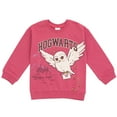 thumbnail image 5 of Harry Potter Hedwig Owl Big Girls Fleece Sweatshirt and Pleated Skirt Plaid Pink / Maroon 10-12, 5 of 5