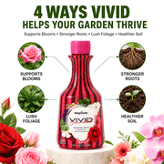 Biogrowth Vivid Organic Plant Food & Fertilizer - Indoor & Outdoor Flowers, Lawns and Ornamentals, 8.45oz (1-0-1) Ultra Concentrated Liquid Bloom Booster with Enzyme Blend