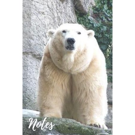 Polar Bear Notebook : cute polar bears gift for animal lovers (blank lined notebook) journal for journaling / best for writing notes and ideas for home use work or as a school homework book / notepad for women/ polar bear (Best Homework Excuses That Work)