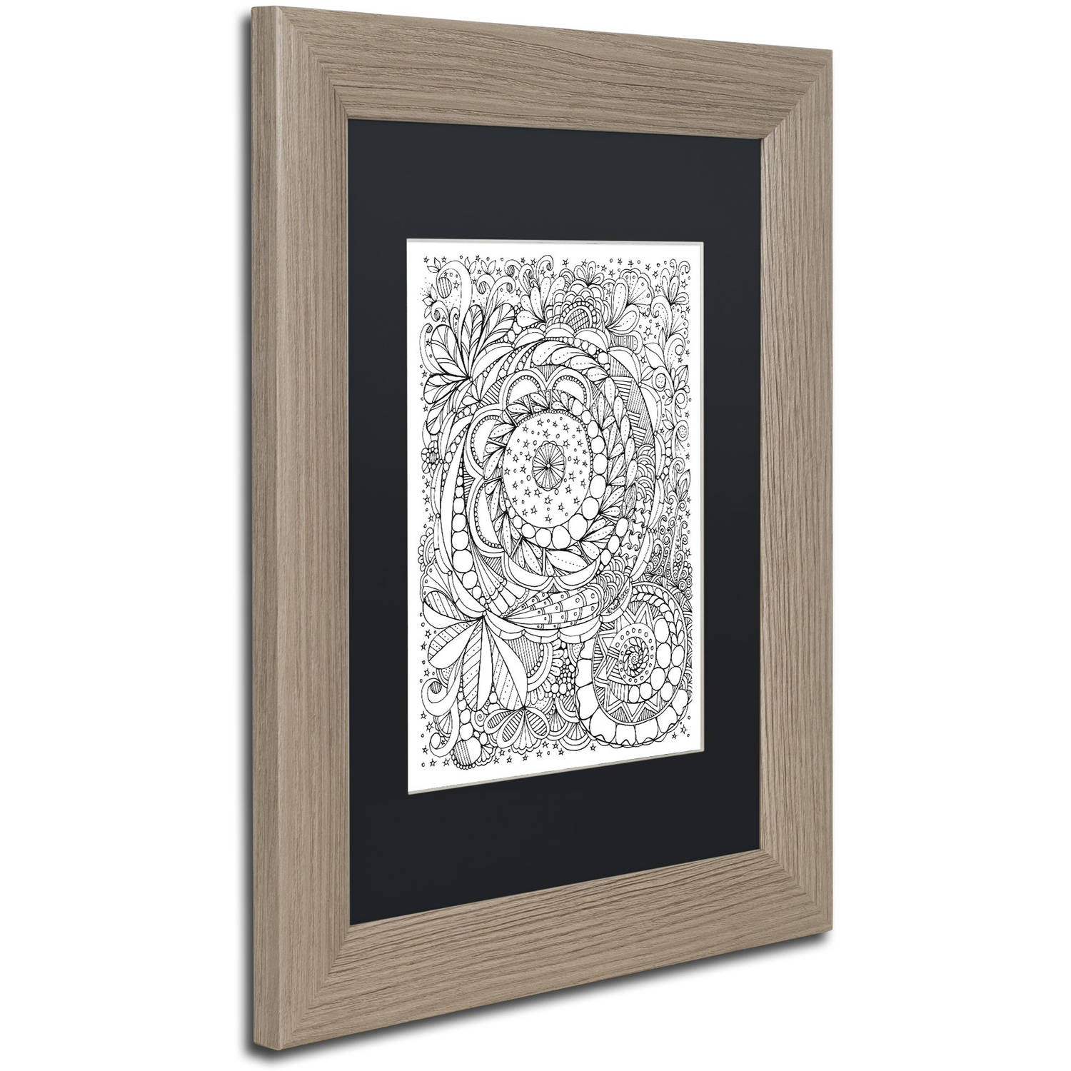 Trademark Fine Art "Enchanted Gardens 6" Canvas Art by KCDoodleArt Black Matte, Birch Frame