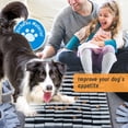 Curated visual reference: Dog Nose Mat Interactive Dog Puzzle Toy Relieves Stress Enriches Photo Inspiration
