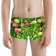 thumbnail image 5 of Yiaed Cactus And Succulents Print Boys' Boxer Briefs Cotton Casual Stretch Comfort Boys Boxers - Kids Boxer Briefs Underwear for Boys (6-18)-X-Large, 5 of 5