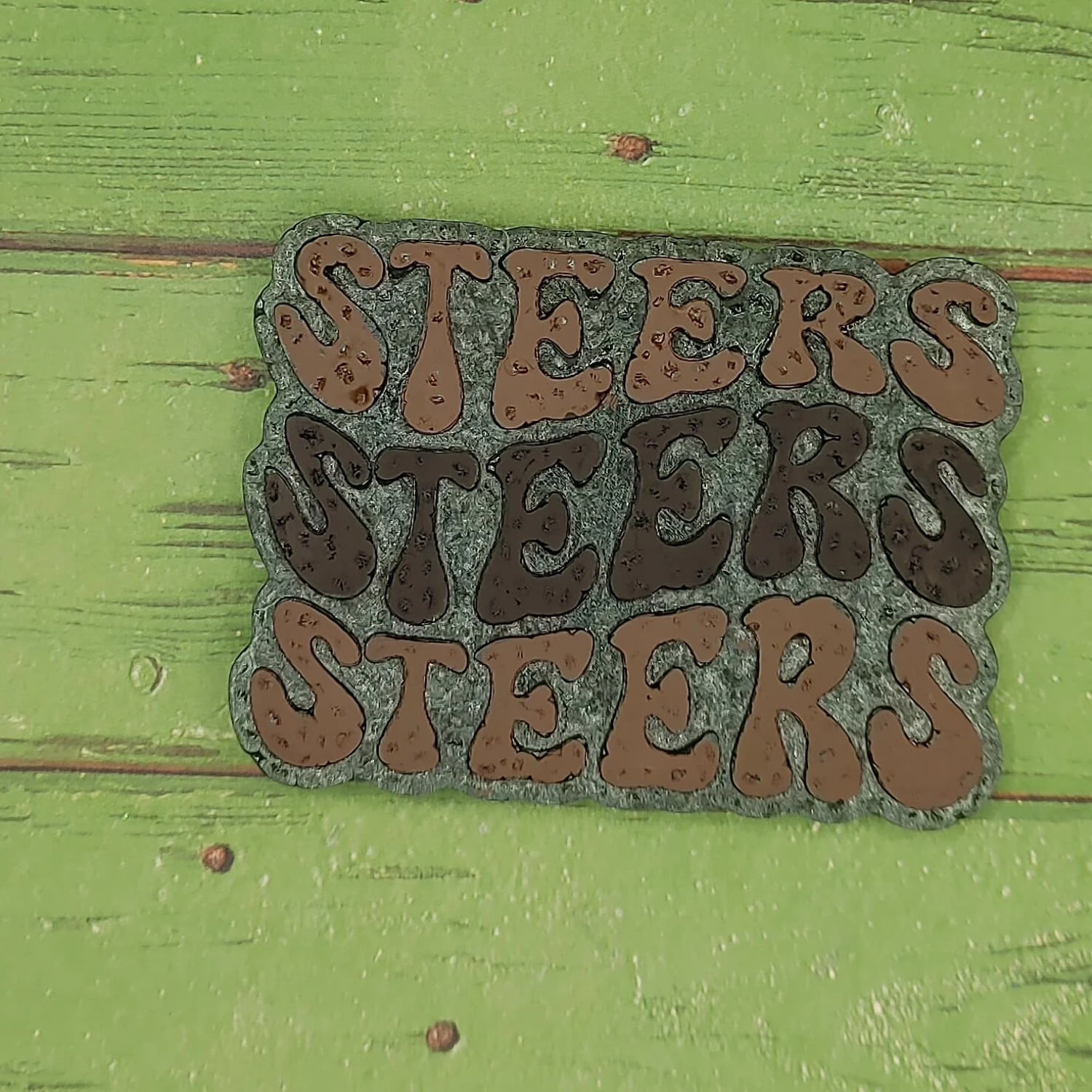 Steers Steers Steers Retro Font Silicone Freshie Mold