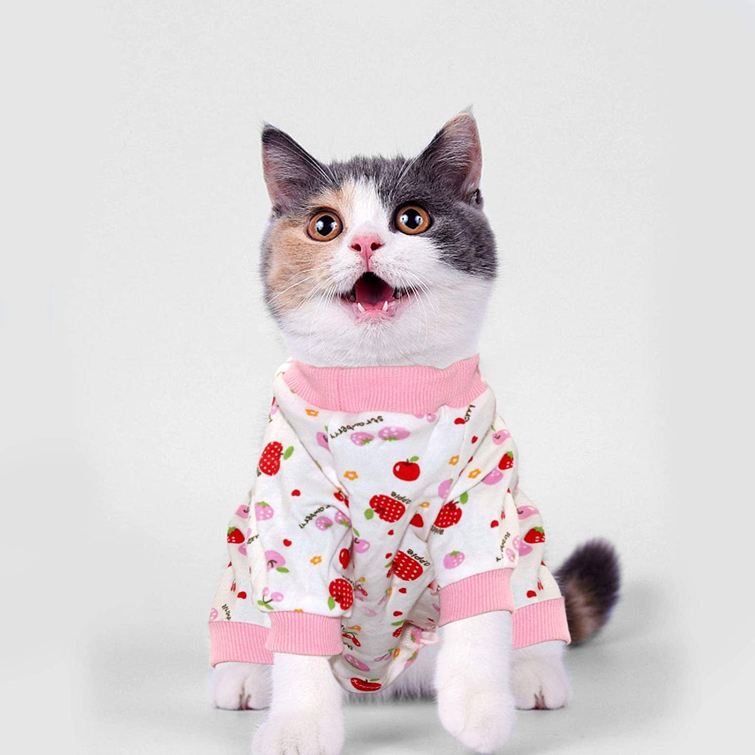 Cute Cat Pajamas Onesie Soft Puppy Rompers Pet Jumpsuits Cozy Bodysuits for Small Dogs and Cats L Rypet Small Dog Pajamas 2 Pack 