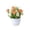 Orange, variant on FTsdfkl Artificial Rose Mixed Potted Plants, Silk Rose Flower Arrangements, Multicolor Rose Bouquets with White Pots, for Home, Office, and Balcony Decor