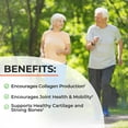thumbnail image 4 of BioSchwartz Glucosamine MSM & Chondroitin Joint Support Supplement, 180 Capsules, 4 of 9