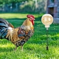 thumbnail image 3 of Juguete para Pollos, Juguete Interactivo de Liberación Lenta de Alimento para Tu Bandada, Comedero Lento para Pollos, Divertido para Combatir el Aburrimiento (2 Unidades), 3 of 7